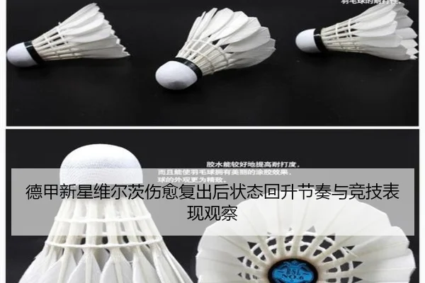 德甲新星维尔茨伤愈复出后状态回升节奏与竞技表现观察